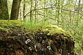 DSC02524 - Bernhard Saalfeld