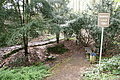 DSC02526 - Bernhard Saalfeld