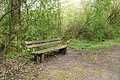 DSC02527 - Bernhard Saalfeld