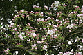 DSC02530 - Bernhard Saalfeld