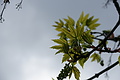 DSC02532 - Bernhard Saalfeld