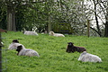 DSC02534 - Bernhard Saalfeld