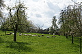 DSC02536 - Bernhard Saalfeld