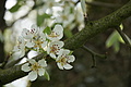 DSC02537 - Bernhard Saalfeld
