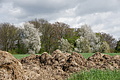 DSC02539 - Bernhard Saalfeld