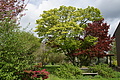 DSC02541 - Bernhard Saalfeld