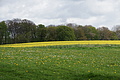 DSC02544 - Bernhard Saalfeld