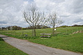DSC02545 - Bernhard Saalfeld