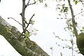 DSC02547 - Bernhard Saalfeld