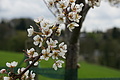 DSC02549 - Bernhard Saalfeld