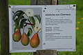 DSC02551 - Bernhard Saalfeld