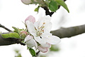DSC02554 - Bernhard Saalfeld
