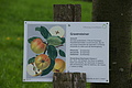 DSC02555 - Bernhard Saalfeld