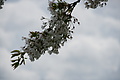 DSC02556 - Bernhard Saalfeld