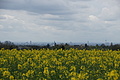 DSC02559 - Bernhard Saalfeld