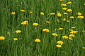 DSC02560 - Bernhard Saalfeld