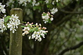 DSC02561 - Bernhard Saalfeld