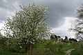 DSC02562 - Bernhard Saalfeld