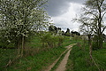 DSC02563 - Bernhard Saalfeld