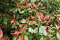 DSC02575 - Bernhard Saalfeld