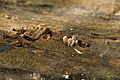 DSC02576 - Bernhard Saalfeld