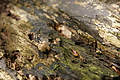 DSC02577 - Bernhard Saalfeld