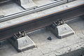DSC03747 - Bernhard Saalfeld