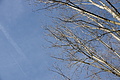 DSC03777 - Bernhard Saalfeld