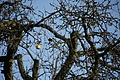 DSC03796 - Bernhard Saalfeld