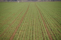 DSC03797 - Bernhard Saalfeld
