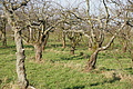 DSC03799 - Bernhard Saalfeld