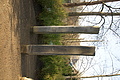 DSC03810 - Bernhard Saalfeld