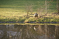 DSC03839 - Bernhard Saalfeld