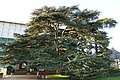 DSC03848 - Bernhard Saalfeld