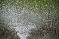DSC02240 - Bernhard Saalfeld