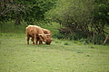 DSC02244 - Bernhard Saalfeld
