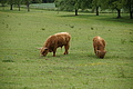 DSC02245 - Bernhard Saalfeld