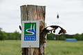 DSC02248 - Bernhard Saalfeld