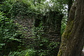 DSC02253 - Bernhard Saalfeld