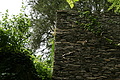 DSC02264 - Bernhard Saalfeld