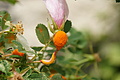 DSC02282 - Bernhard Saalfeld