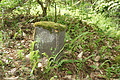 DSC02292 - Bernhard Saalfeld