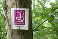 DSC02294 - Bernhard Saalfeld