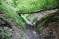 DSC02304 - Bernhard Saalfeld