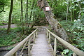DSC02306 - Bernhard Saalfeld