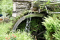 DSC02318 - Bernhard Saalfeld