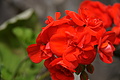 DSC02322 - Bernhard Saalfeld