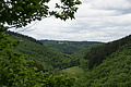 DSC02327 - Bernhard Saalfeld