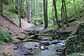 DSC02330 - Bernhard Saalfeld
