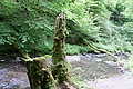 DSC02334 - Bernhard Saalfeld